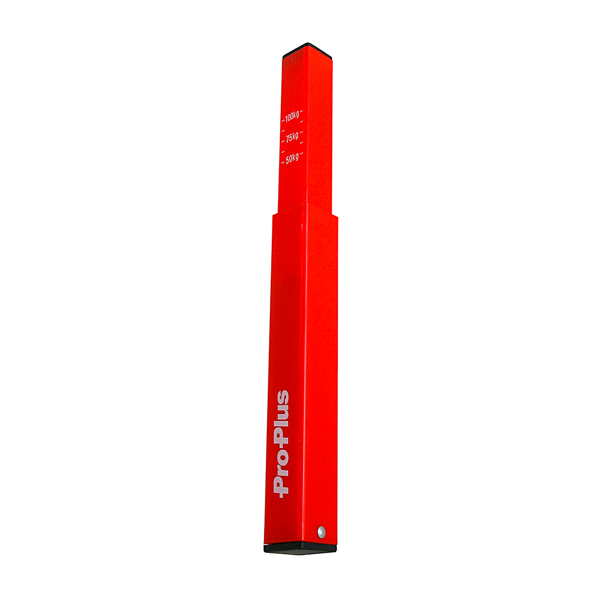 Básculas de lanza / carga vertical hasta 100 kg ProPlus